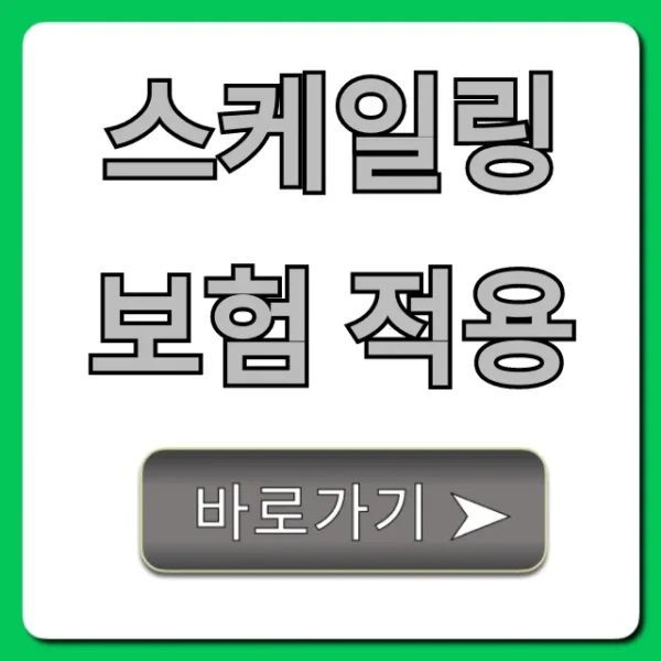 스케일링 보험 적용, 1년 주기 비용 혜택 총정리