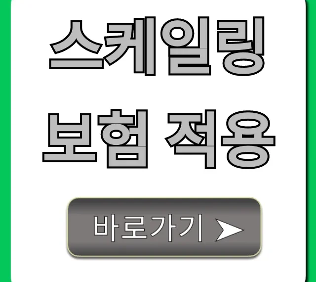 스케일링 보험 적용, 1년 주기 비용 혜택 총정리