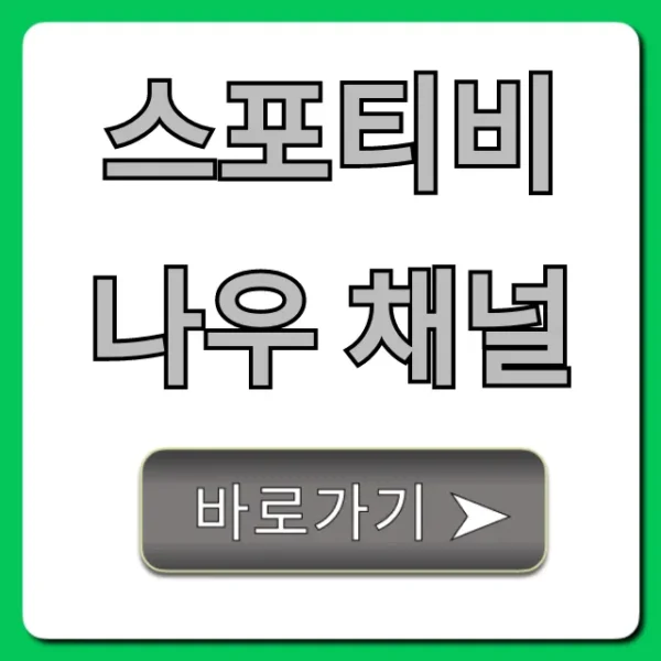 스포티비 나우 채널: 실시간 중계 보는 법 총정리