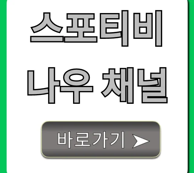 스포티비 나우 채널: 실시간 중계 보는 법 총정리