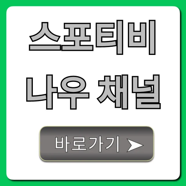 스포티비 나우 채널: 실시간 중계 보는 법 총정리