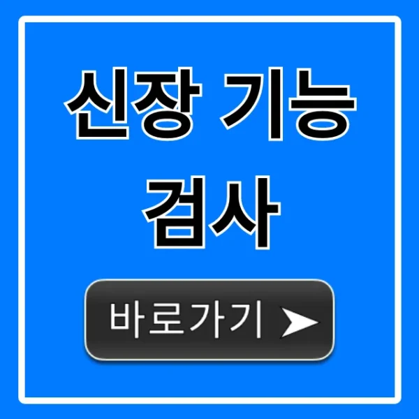 신장 기능 검사: 당신의 신장 건강 지키는 완벽 가이드
