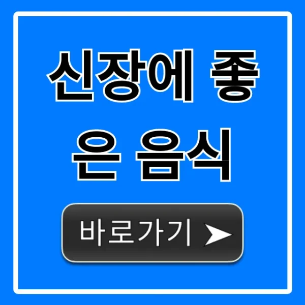신장에 좋은 음식: 신장 건강 관리 꿀팁 총정리