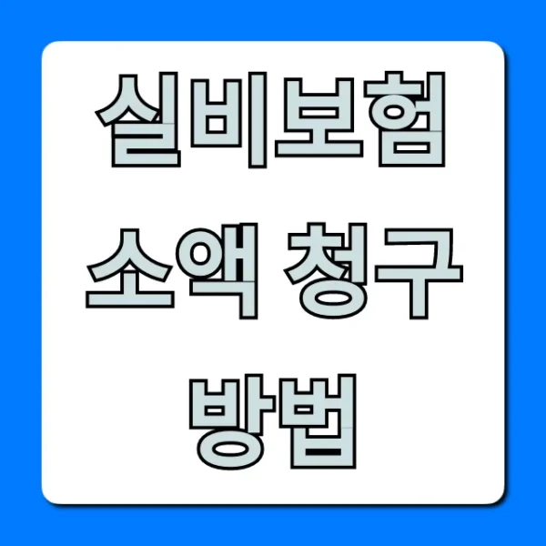 실비보험 소액 청구 방법, 모바일로 끝내는 꿀팁