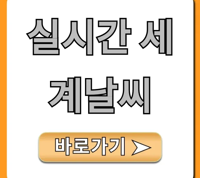 실시간 세계날씨 조회, 해외여행 필수 꿀팁 총정리