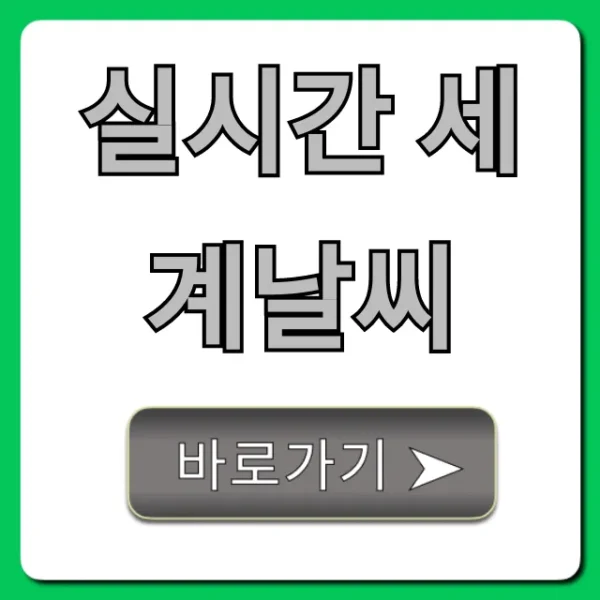 실시간 세계날씨: 해외여행 필수! 오늘 날씨 총정리