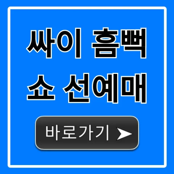 싸이 흠뻑쇼 선예매 티켓팅 꿀팁 총정리