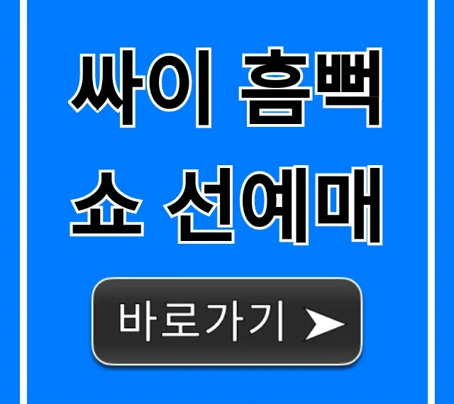 싸이 흠뻑쇼 선예매! 티켓팅 성공 꿀팁