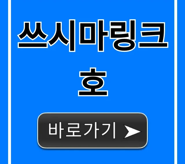 쓰시마링크호 가격 시간표 총정리