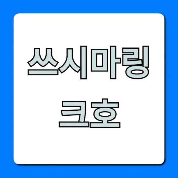 쓰시마링크호 예약 가격 시간표 최신 정보 총정리