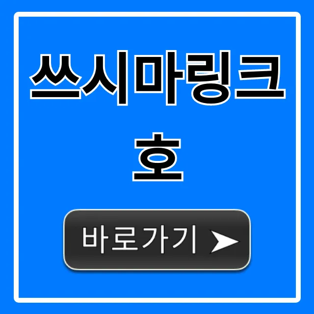 쓰시마링크호 최신 시간표, 예매 꿀팁 완벽 가이드