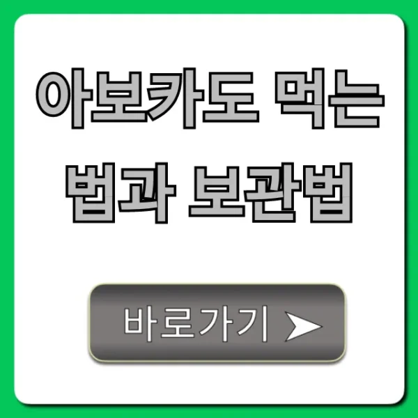 아보카도 먹는 법과 보관법: 완벽 꿀팁 총정리