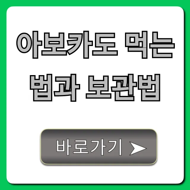 아보카도 먹는 법과 보관법: 완벽 꿀팁 총정리