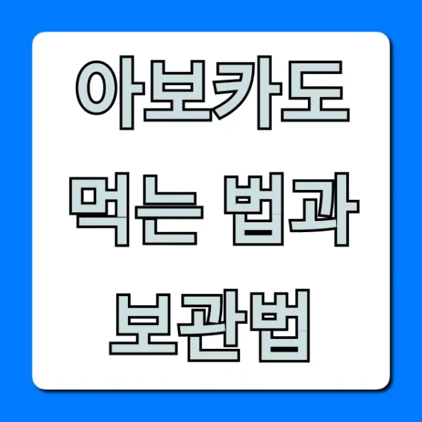 아보카도 먹는 법과 보관법: 후숙 꿀팁 총정리