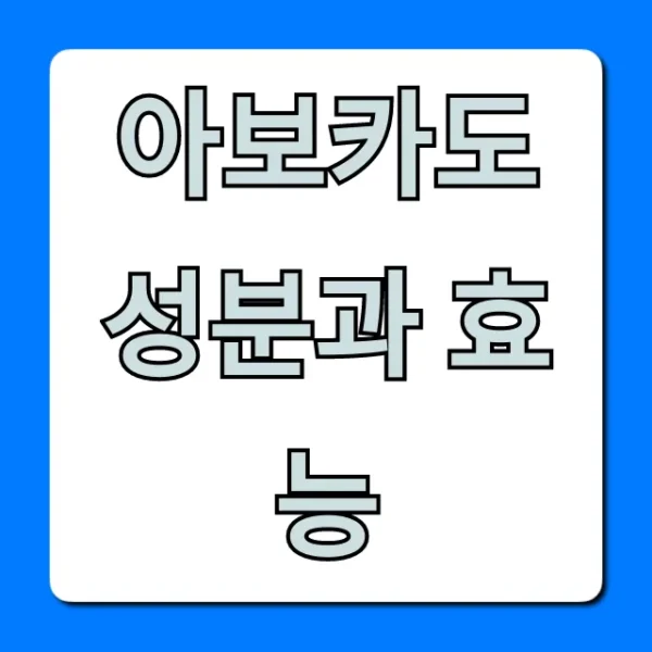 아보카도 성분과 효능 다이어트부터 피부까지 총정리