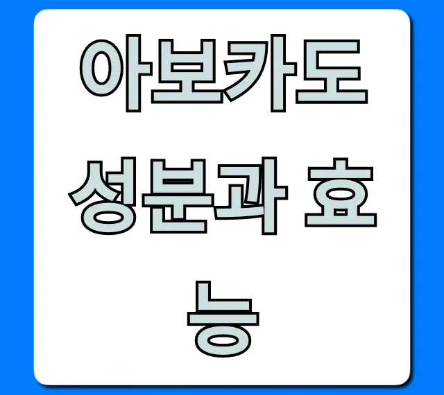 아보카도 성분과 효능 다이어트부터 피부까지 총정리