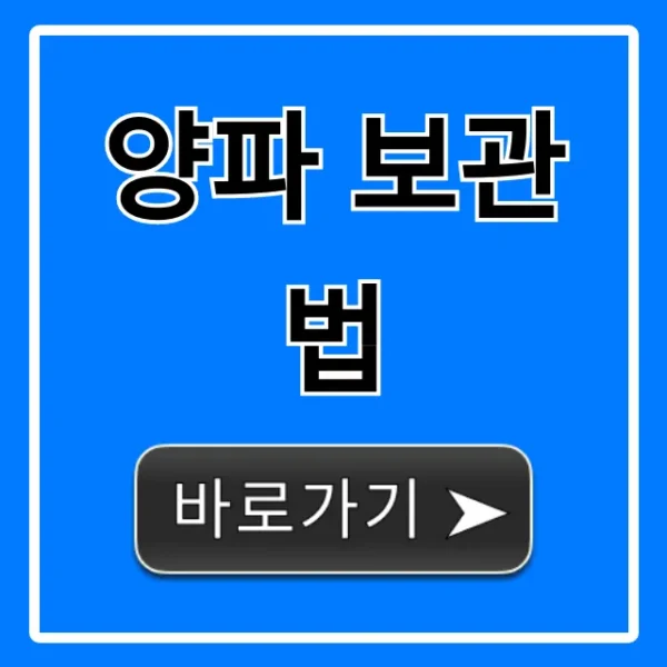양파 보관법: 신선함 유지 꿀팁 총정리