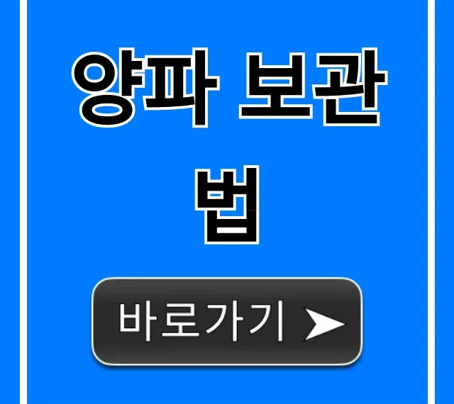 양파 보관법: 신선함 유지 꿀팁 총정리