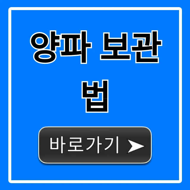 양파 보관법: 신선함 유지 꿀팁 총정리