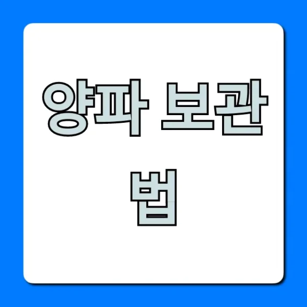 양파 보관법: 오래 신선하게 꿀팁 총정리