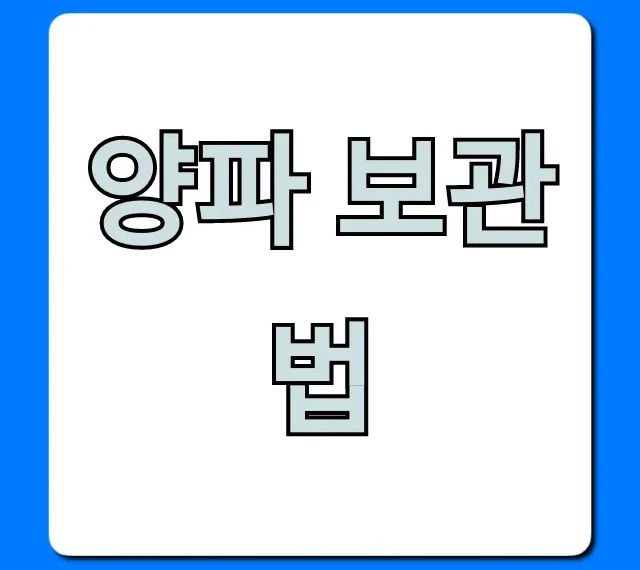 양파 보관법: 오래 신선하게 꿀팁 총정리