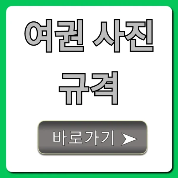 여권 사진 규격: 2024년 최신 완벽 정리