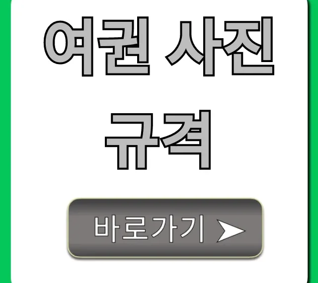 여권 사진 규격: 2024년 최신 완벽 정리