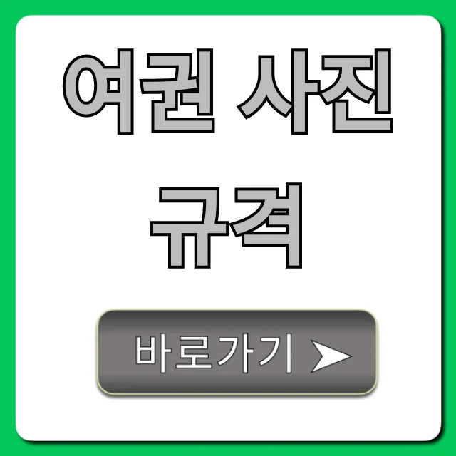여권 사진 규격: 2024년 최신 완벽 정리