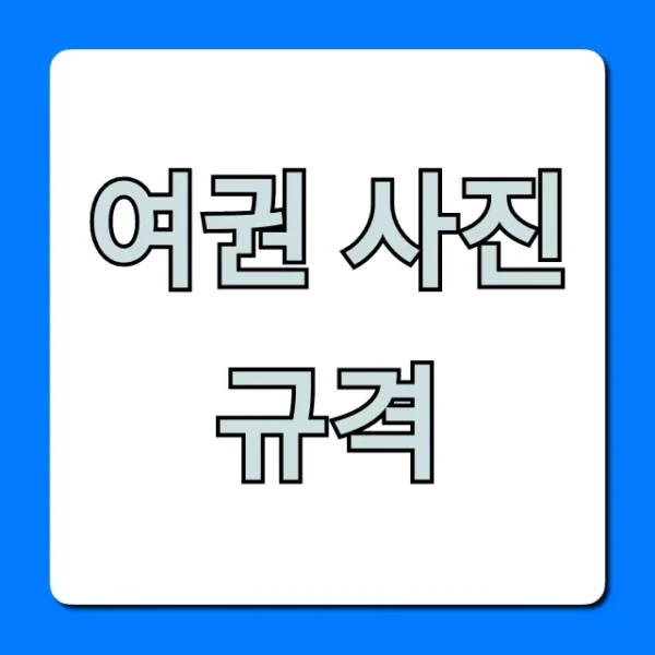 여권 사진 규격 총정리: 반려 없는 완벽 준비 꿀팁