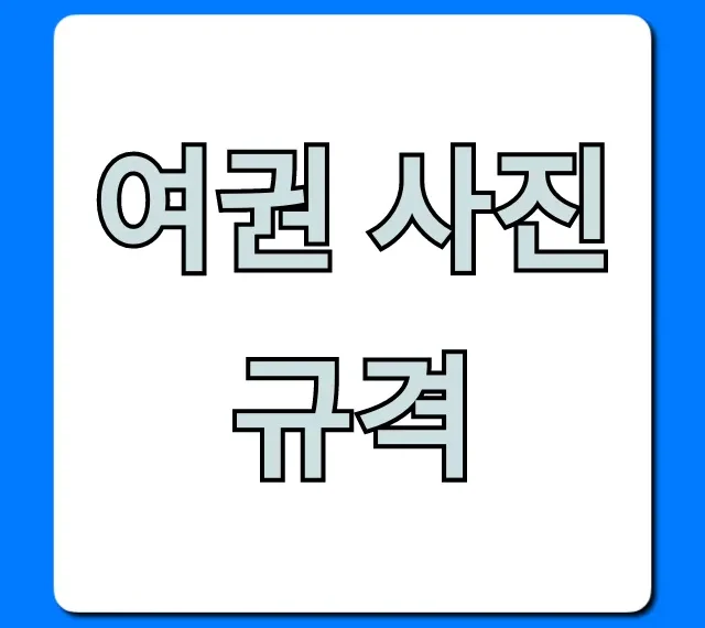 여권 사진 규격 총정리: 반려 없는 완벽 준비 꿀팁