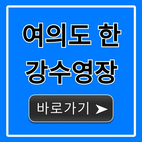 여의도 한강수영장 가격 운영시간 주차 총정리