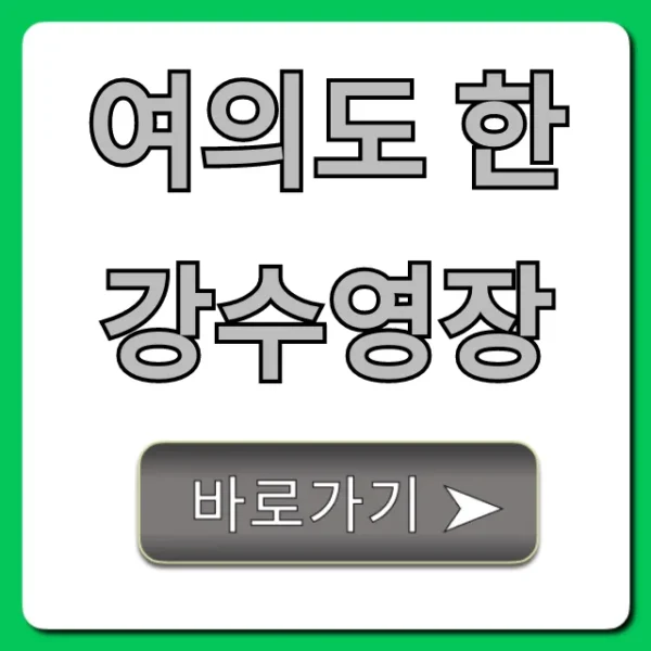 여의도 한강수영장 가격, 운영시간, 준비물 꿀팁 총정리