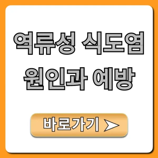 역류성 식도염 원인과 예방, 생활 꿀팁 총정리