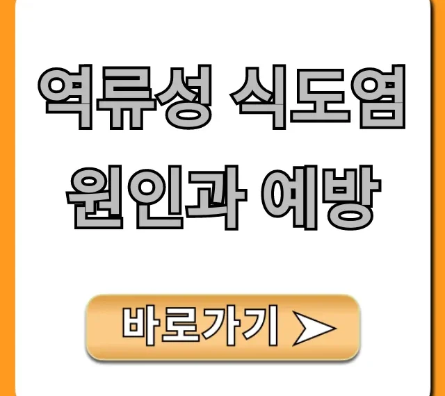 역류성 식도염 원인과 예방, 생활 꿀팁 총정리