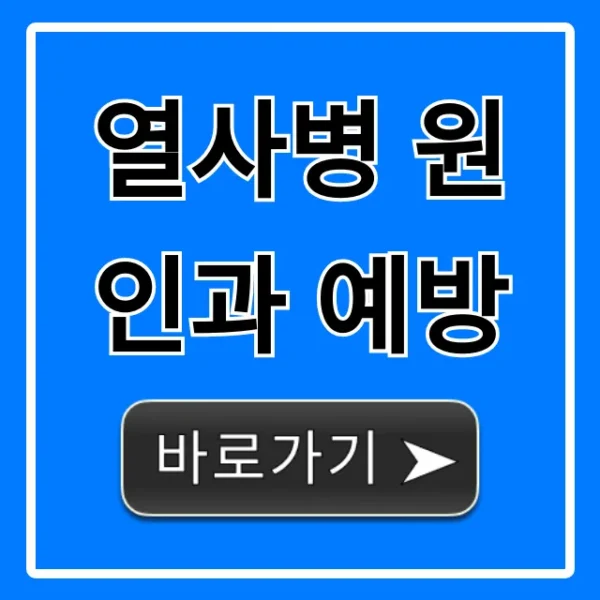 열사병 원인과 예방: 여름철 건강 총정리
