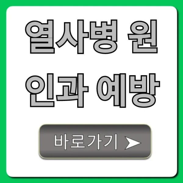 열사병 원인과 예방, 응급처치까지 완벽정리