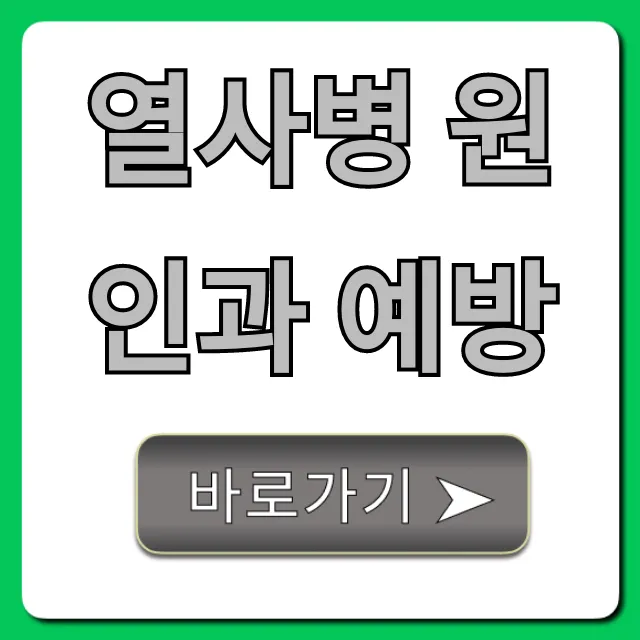 열사병 원인과 예방, 응급처치까지 완벽정리