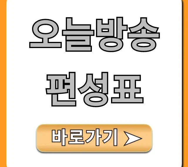 오늘방송편성표 실시간! 지상파 종편 채널별 총정리