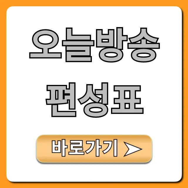 오늘방송편성표 실시간! 지상파 종편 채널별 총정리