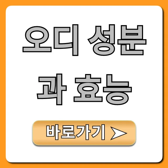 오디 성분과 효능, 부작용까지 꿀팁 대방출
