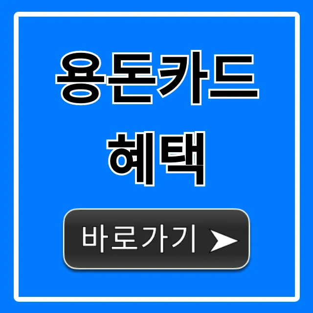 용돈카드 혜택 비교부터 신청 꿀팁까지!