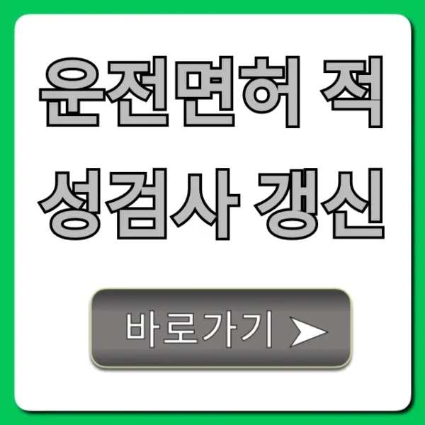 운전면허 적성검사 갱신, 기간 놓치면 벌금 폭탄? 총정리