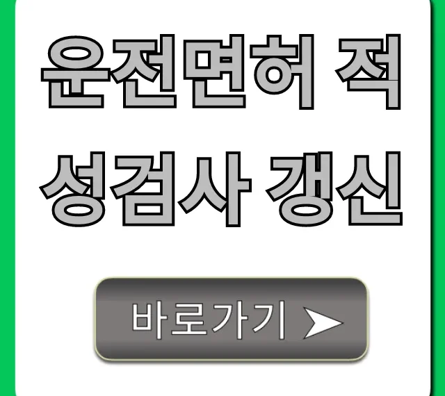 운전면허 적성검사 갱신, 기간 놓치면 벌금 폭탄? 총정리
