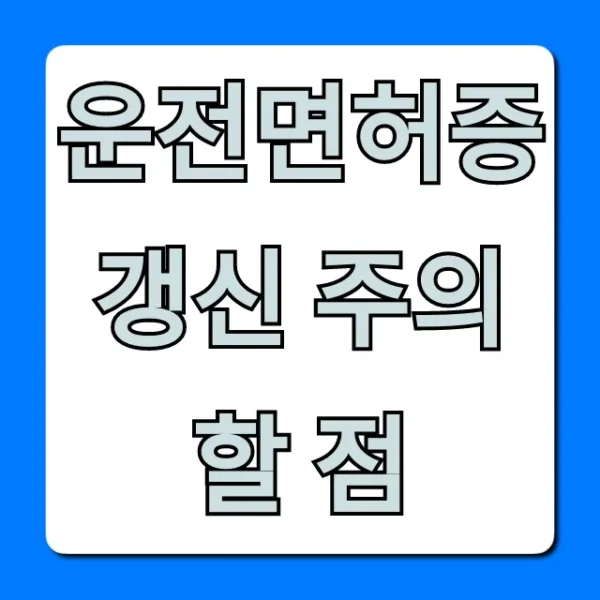 운전면허증 갱신 주의할 점: 과태료 폭탄 피하는 꿀팁!