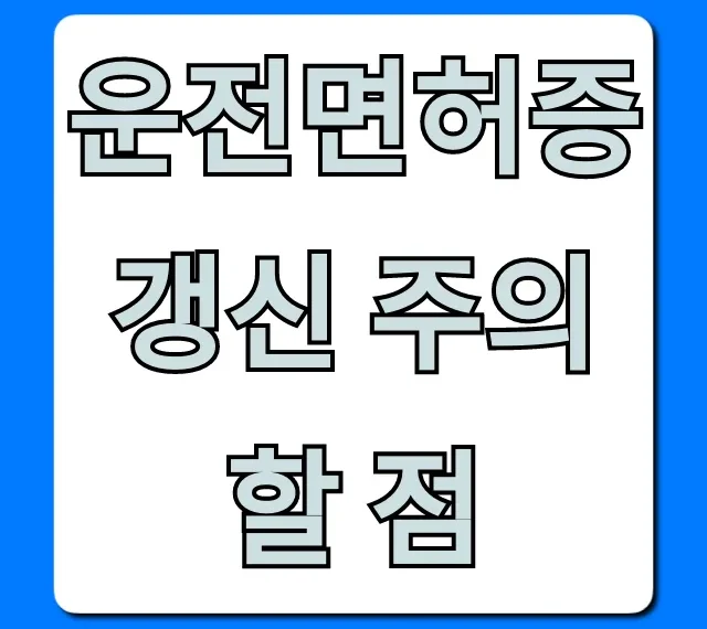 운전면허증 갱신 주의할 점: 과태료 폭탄 피하는 꿀팁!
