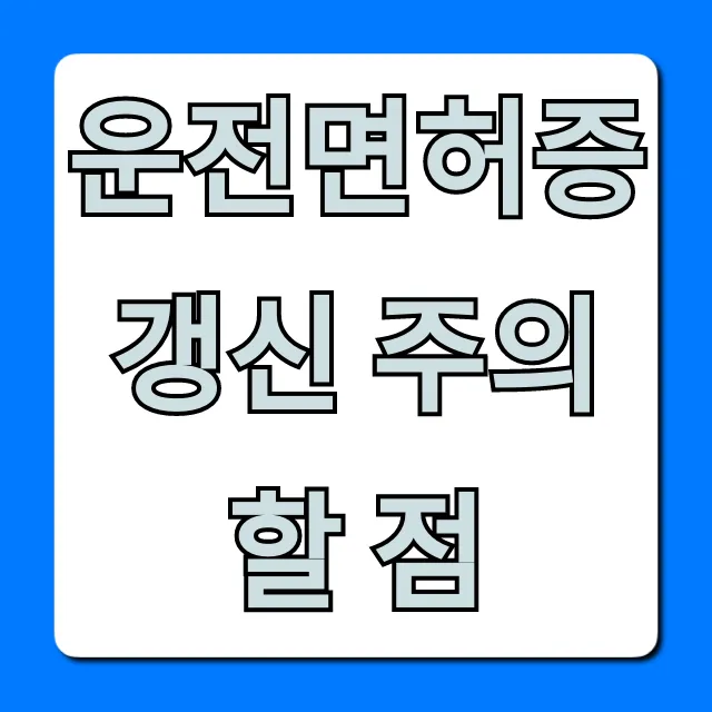 운전면허증 갱신 주의할 점: 과태료 폭탄 피하는 꿀팁!