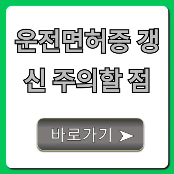 운전면허증 갱신 주의할 점, 과태료 피하는 꿀팁!