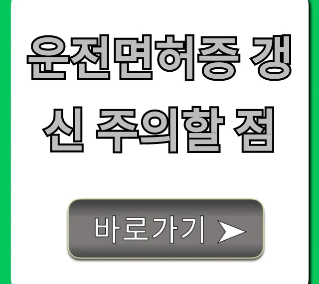 운전면허증 갱신 주의할 점, 과태료 피하는 꿀팁!