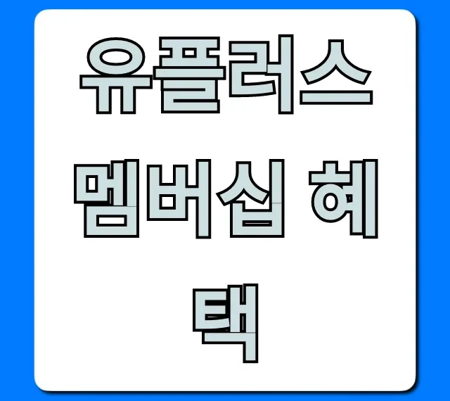 유플러스 멤버십 혜택 VIP 등급별 총정리