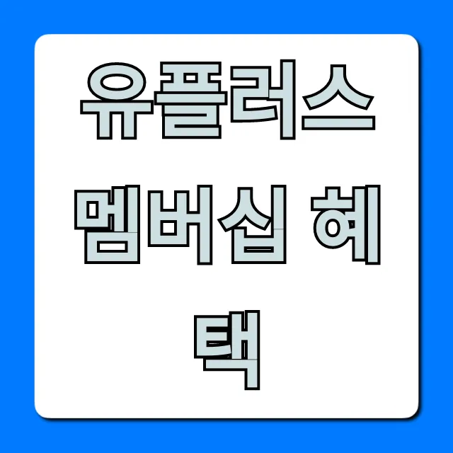 유플러스 멤버십 혜택 VIP 등급별 총정리